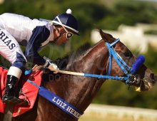 09.07 Corridas &raquo; 09.07 Corridas &raquo; 250424